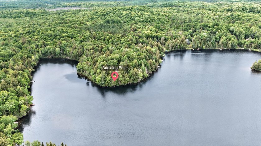 An exceptional opportunity to own five contiguous waterfront - photo 9