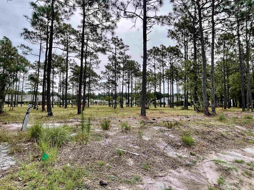Spacious homesite located in the Waterbrook Woods section of - photo 2