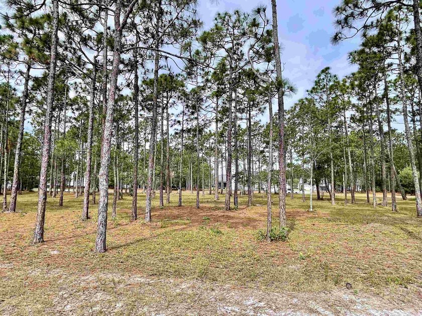 Spacious homesite located in the Waterbrook Woods section of - photo 6