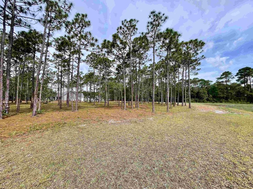 Spacious homesite located in the Waterbrook Woods section of - photo 7
