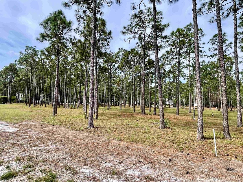 Spacious homesite located in the Waterbrook Woods section of - photo 8