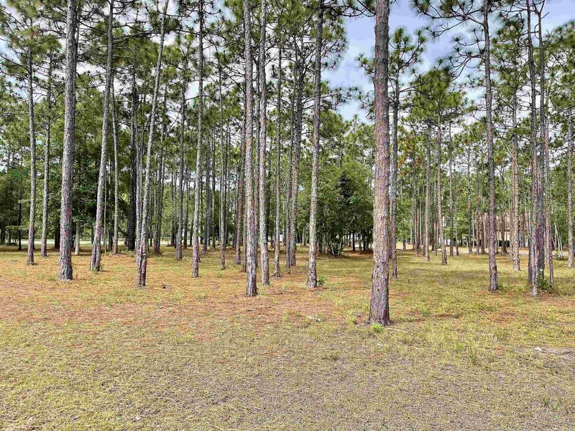 Spacious homesite located in the Waterbrook Woods section of - photo 3