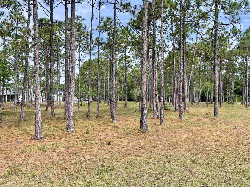 Spacious homesite located in the Waterbrook Woods section of - photo 4
