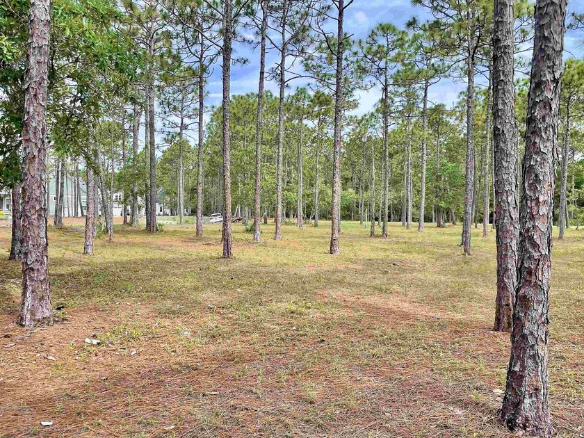 Spacious homesite located in the Waterbrook Woods section of - photo 6