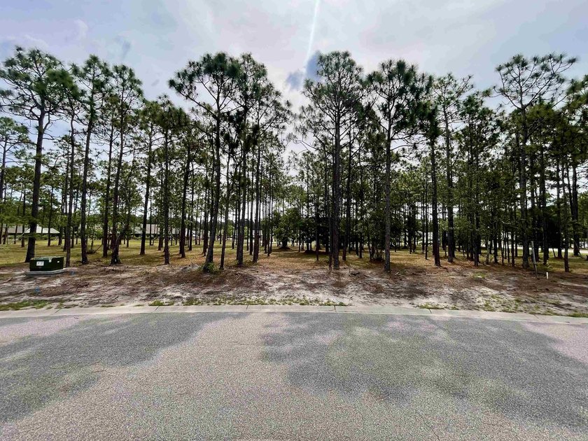 Spacious homesite located in the Waterbrook Woods section of - photo 7