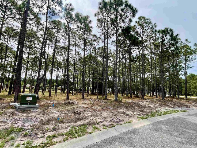 Spacious homesite located in the Waterbrook Woods section of - photo 8