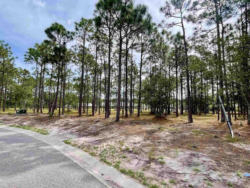 Spacious homesite located in the Waterbrook Woods section of - photo 9