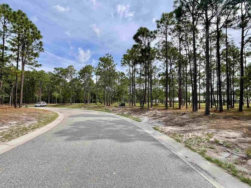 Spacious homesite located in the Waterbrook Woods section of - photo 10