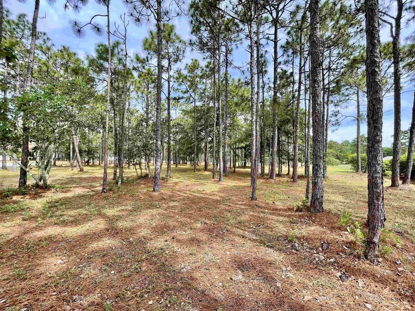 Spacious homesite located in the Waterbrook Woods section of - photo 4