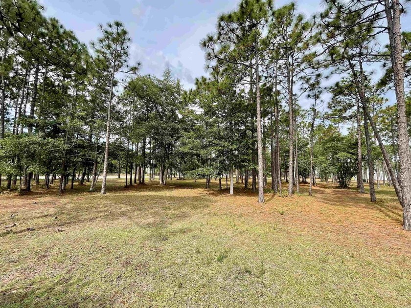 Spacious homesite located in the Waterbrook Woods section of - photo 5
