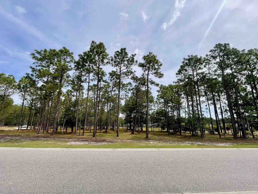 Spacious homesite located in the Waterbrook Woods section of - photo 6