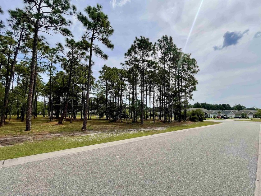 Spacious homesite located in the Waterbrook Woods section of - photo 7
