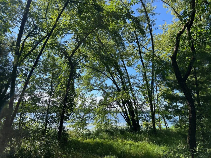 This 1.3-acre wooded lot offers 258 feet of pristine lakeshore - photo 11