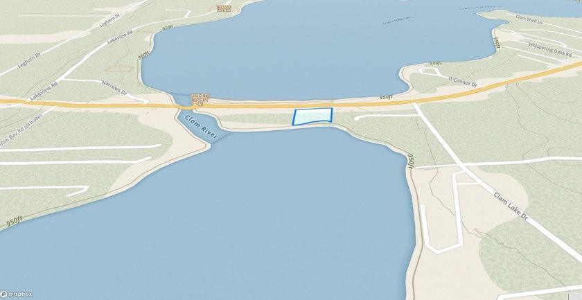 This 1.3-acre wooded lot offers 258 feet of pristine lakeshore - photo 14