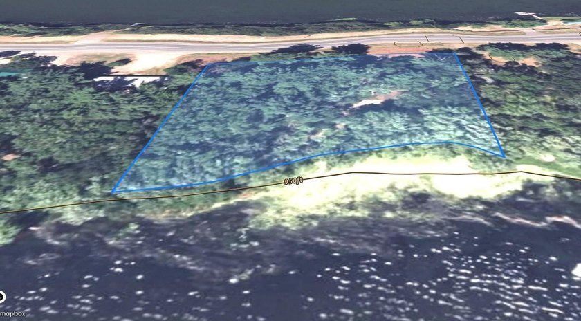 This 1.3-acre wooded lot offers 258 feet of pristine lakeshore - photo 15
