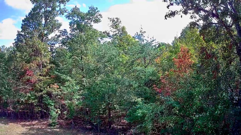 A 5-minute walk (2,00 ft. roughly away) to the covered pavilion - photo 15