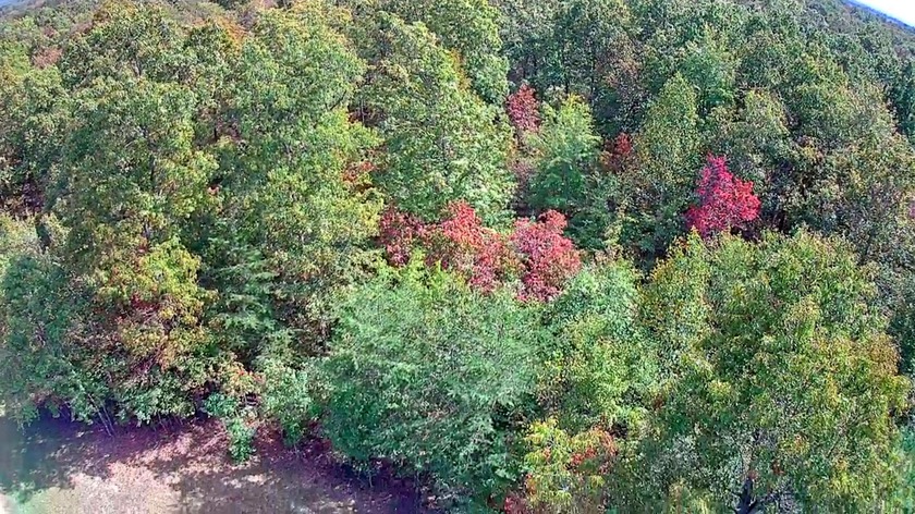 A 5-minute walk (2,00 ft. roughly away) to the covered pavilion - photo 20