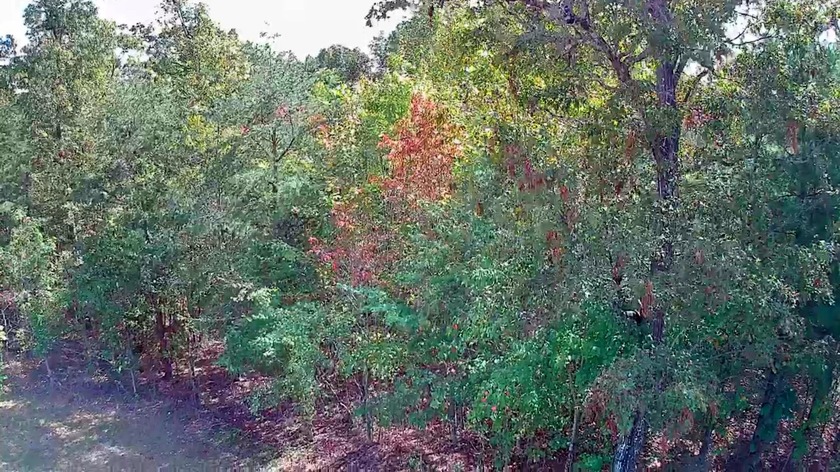 A 5-minute walk (2,00 ft. roughly away) to the covered pavilion - photo 26