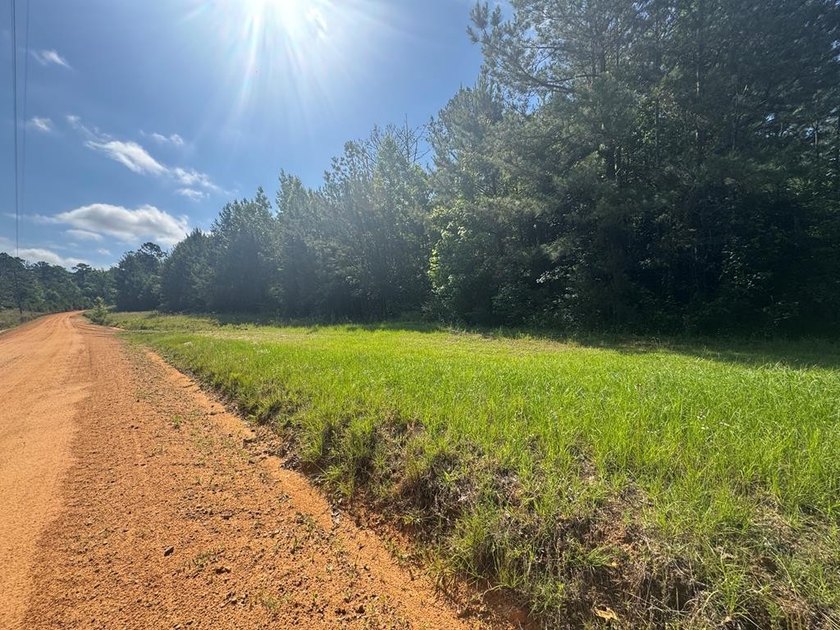 9.74 Acre parcel just minutes from Lake Eufaula. Deeded access - photo 2