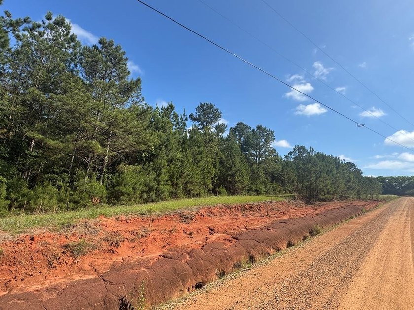 9.74 Acre parcel just minutes from Lake Eufaula. Deeded access - photo 4