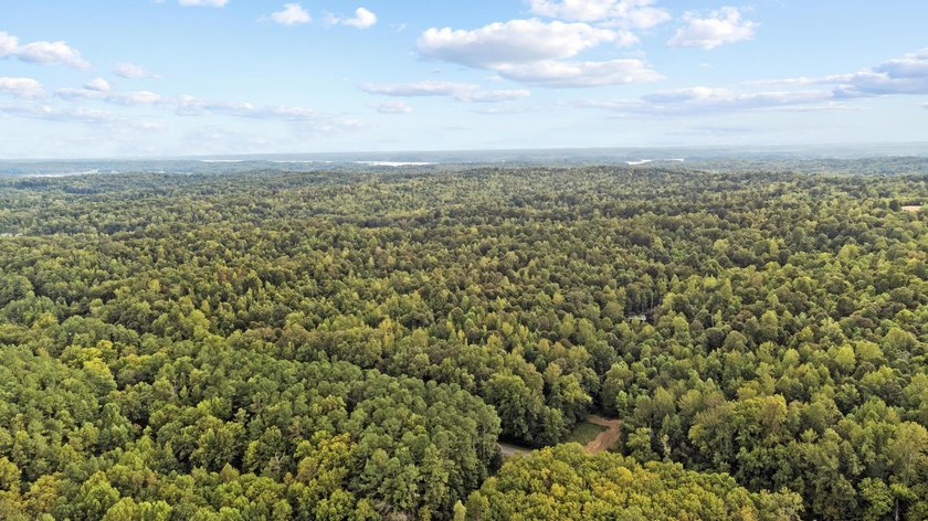 45 ACRES OF PRIME HUNTING LAND NEAR LAKE BARKLEY! Discover the - photo 4