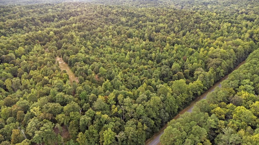 45 ACRES OF PRIME HUNTING LAND NEAR LAKE BARKLEY! Discover the - photo 5