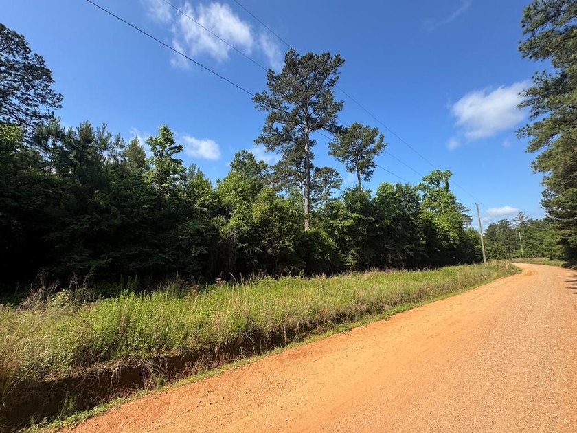 9.74 Acre parcel just minutes from Lake Eufaula. Deeded access - photo 7