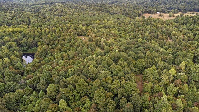 45 ACRES OF PRIME HUNTING LAND NEAR LAKE BARKLEY! Discover the - photo 8