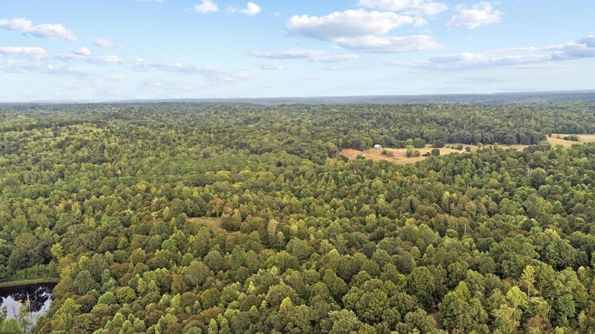 45 ACRES OF PRIME HUNTING LAND NEAR LAKE BARKLEY! Discover the - photo 9