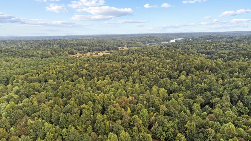 45 ACRES OF PRIME HUNTING LAND NEAR LAKE BARKLEY! Discover the - photo 10