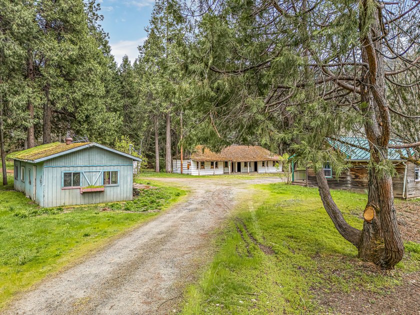 A rare, accessible Southern Oregon commercial/residential - photo 5