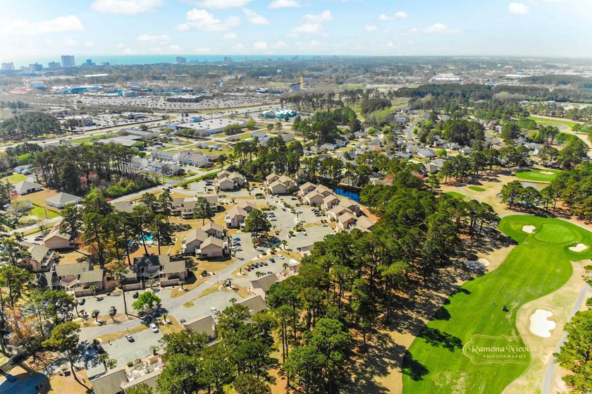 Charming Condo with Golf Course Views - Just Minutes to the - photo 23