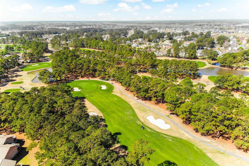 Charming Condo with Golf Course Views - Just Minutes to the - photo 24