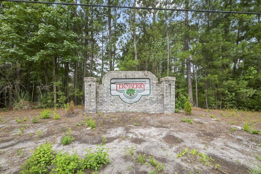 Discover a welcoming three-bedroom, two-bath home in Osprey - photo 44