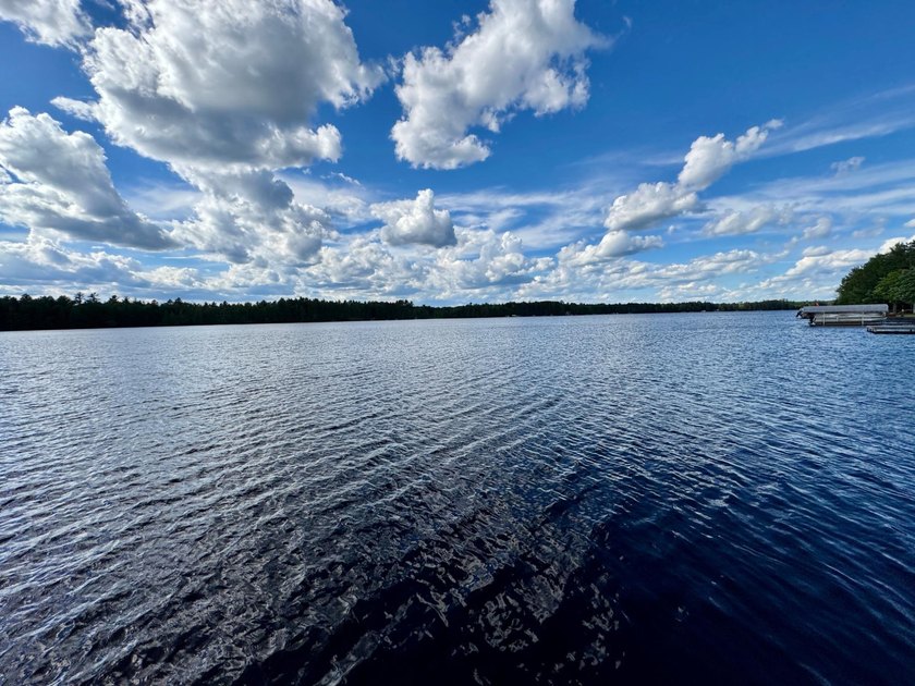 This is a unique lakefront property giving you diverse options - photo 8