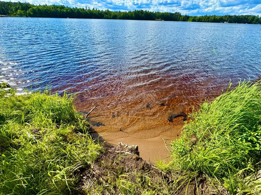 This is a unique lakefront property giving you diverse options - photo 10