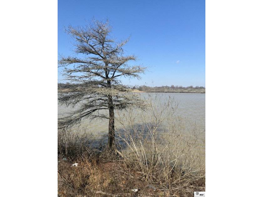 Water frontage lake lot with beautiful views of Lake Louie and - photo 4