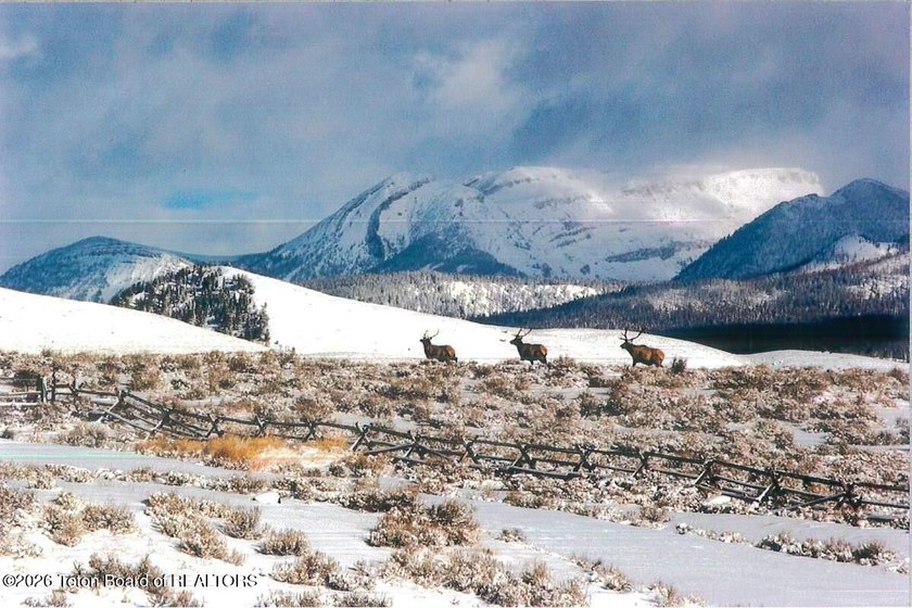 Escape to wide open spaces at 41 Marsh Creek Road in Cora, WY- - photo 42