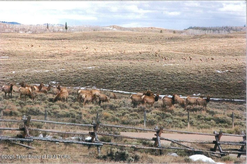 Escape to wide open spaces at 41 Marsh Creek Road in Cora, WY- - photo 43