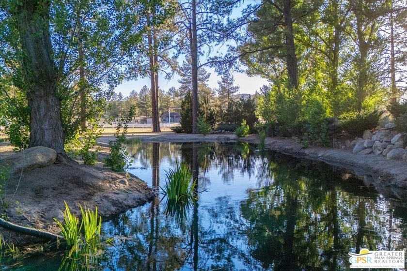 Experience exceptional country living on this spectacular 5+ - photo 49