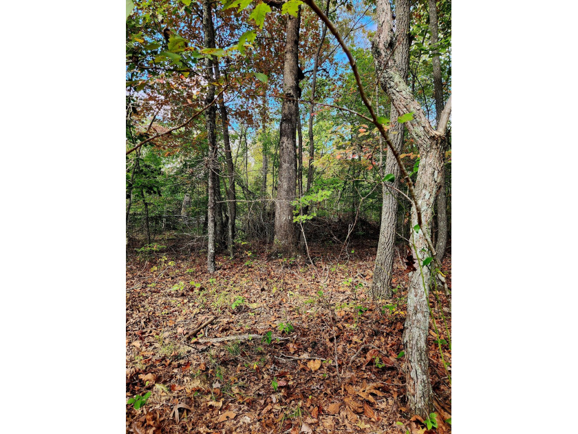 A 5-minute walk (2,5000 ft. roughly away) to the covered - photo 12