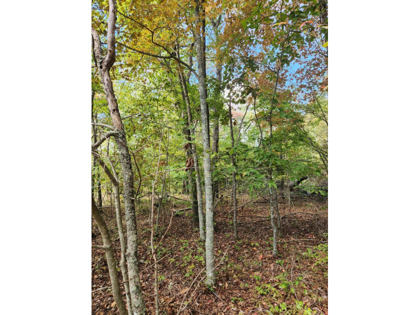 A 5-minute walk (2,5000 ft. roughly away) to the covered - photo 15