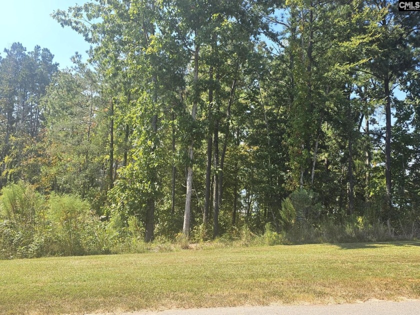 Build your dream home on this beautiful .45-acre waterfront lot - photo 7