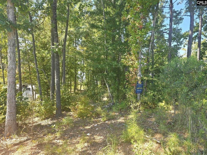 Build your dream home on this beautiful .45-acre waterfront lot - photo 8
