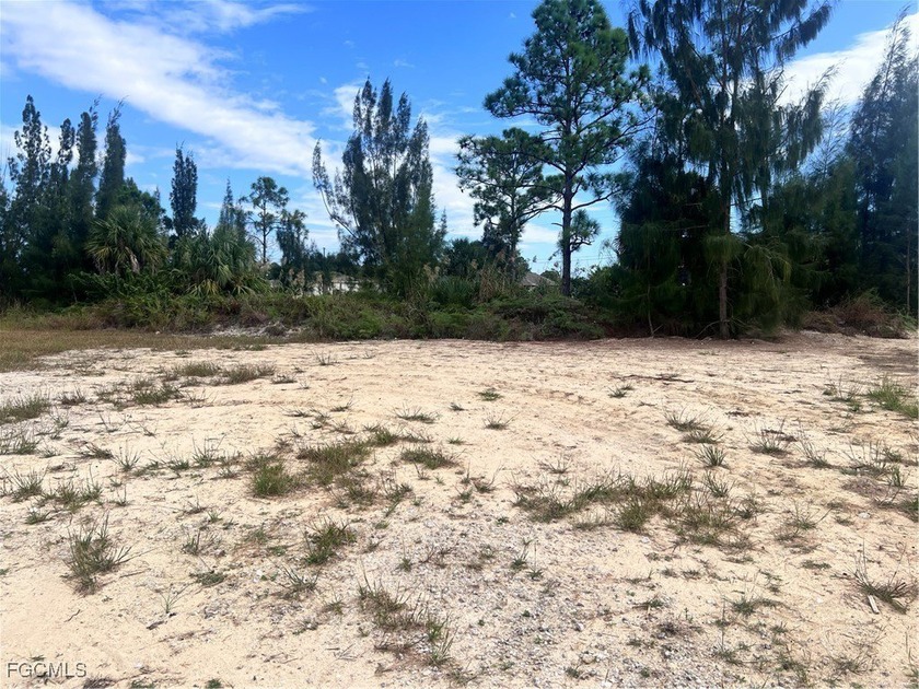 Great opportunity to own a slice of heaven in Florida, this - photo 3