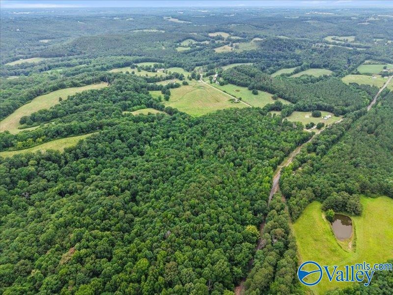Unlock the potential of this exceptional, unrestricted 37-acre - photo 11