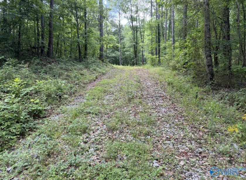 Unlock the potential of this exceptional, unrestricted 37-acre - photo 12