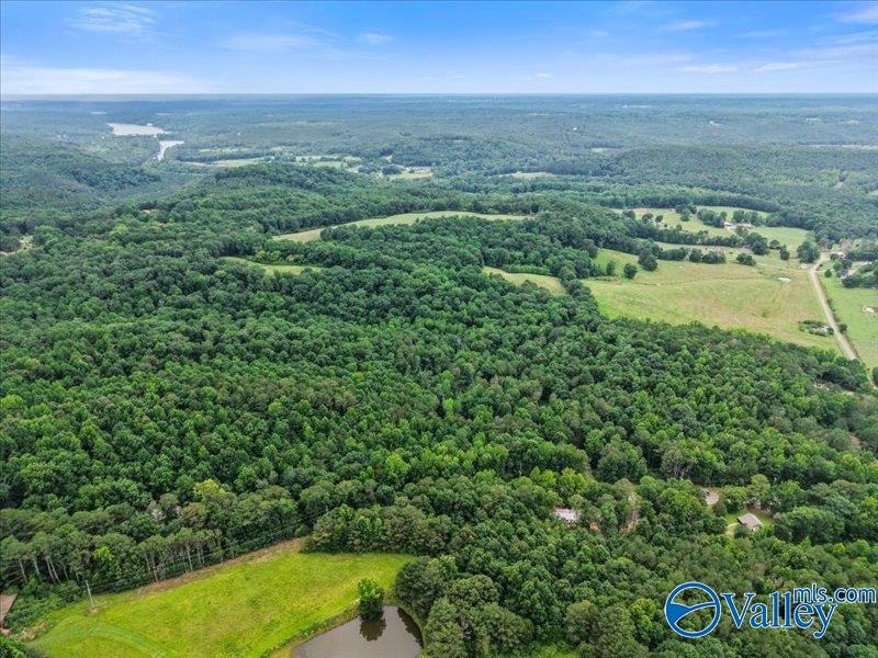 Unlock the potential of this exceptional, unrestricted 37-acre - photo 13