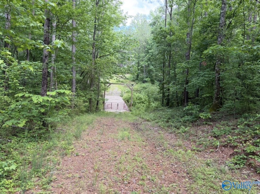 Unlock the potential of this exceptional, unrestricted 37-acre - photo 15