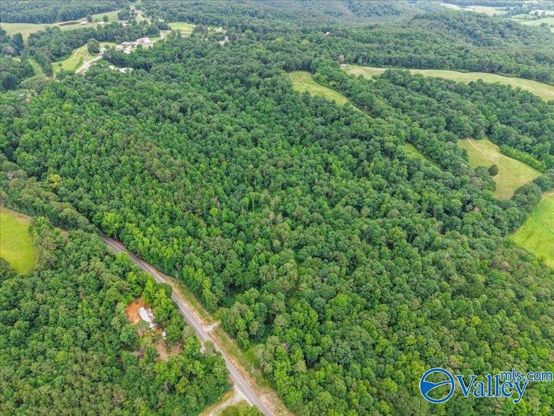 Unlock the potential of this exceptional, unrestricted 37-acre - photo 16